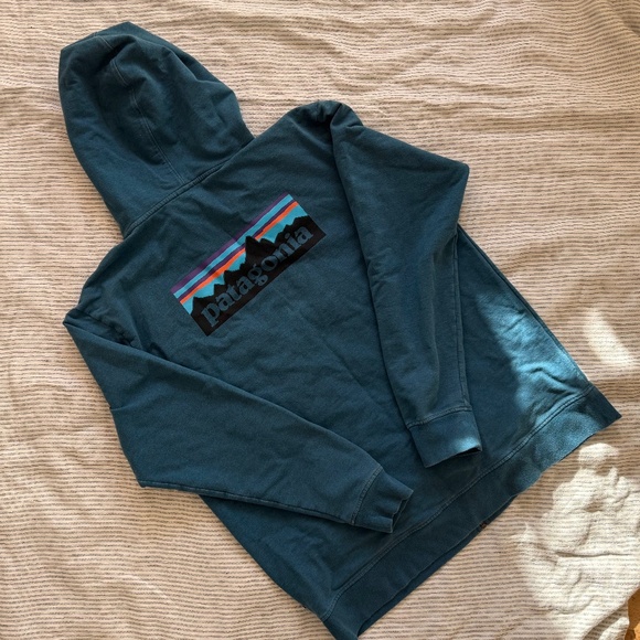Patagonia Men's P-6 Logo Midweight Zip Hoodie, size XL - Picture 5 of 6